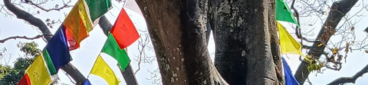 Centro Studi Coscienza Spirituale